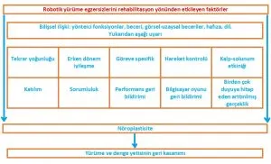 Robotik Yürüme Cihazları ile Felç Tedavisi