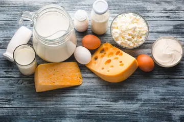 Brusella Hastalığı Nedir? Neden Olur? Belirtileri