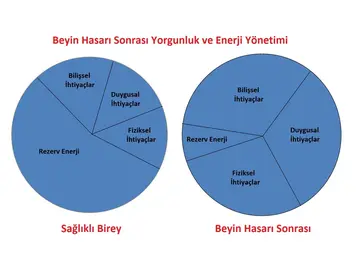 Beyin Hasarı Sonrası Enerji Yönetimi