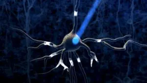 Optogenetik Nedir?