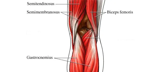 hamstring kasi