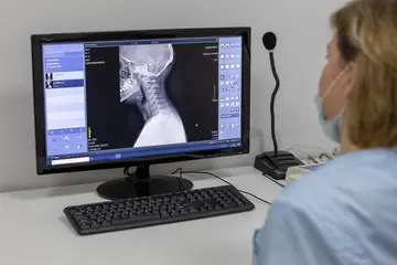 Boyun Fıtığı Ağrısı Nereye Vurur?